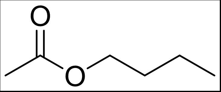 Essigsäure Butylester CAS 123-86-4
