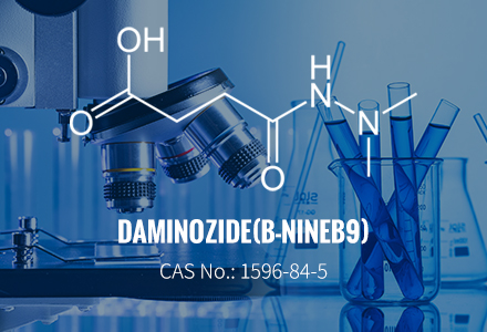 Daminozid (B-Nine / B9) CAS 1596-84-5