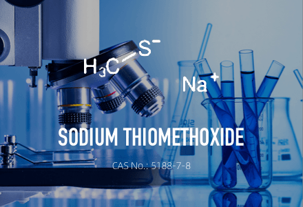Natriumthiomethoxid/CAS 5188-7-8